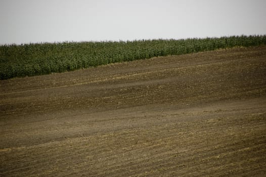 agriculture brown soil at the end of summer