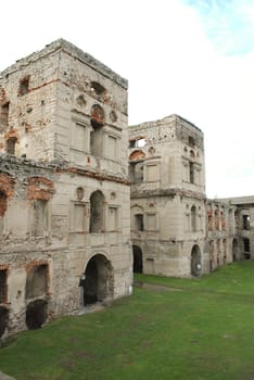 old castle ruins with some plants growing on walls