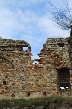 old castle ruins with some plants growing on walls