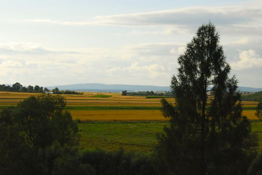 agricultural landscape with trees and mountains