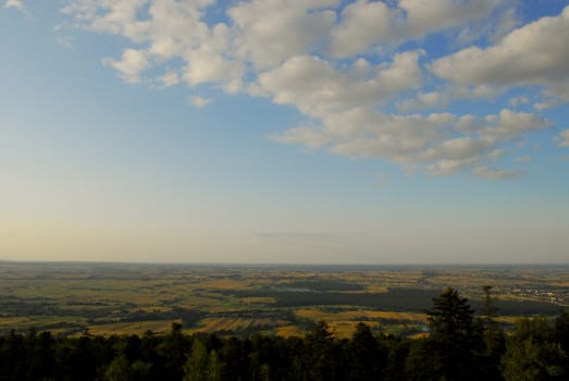 agricultural landscape with trees and flat terrain