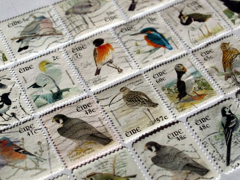 Range of Irish postage stamps with birds