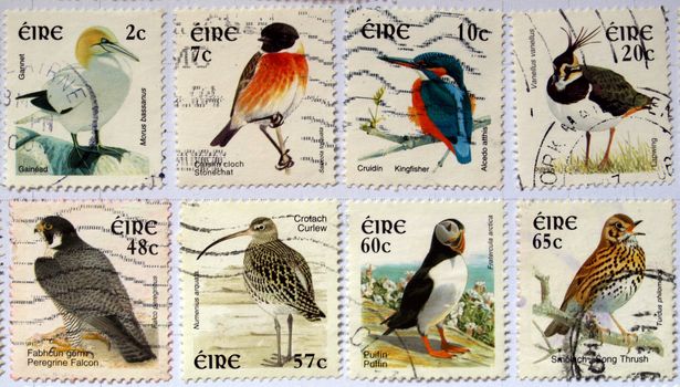 Range of Irish postage stamps with birds