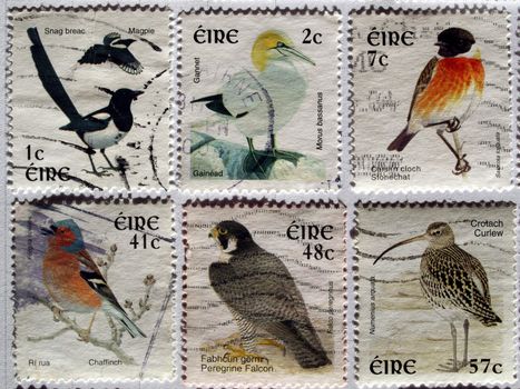 Range of Irish postage stamps with birds