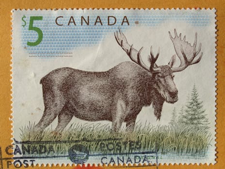 Canadian postage stamp from Canada with deer moose