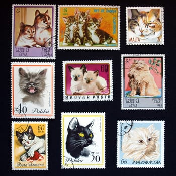 Stamp with cats from Hungary, Malta, Poland, Romania