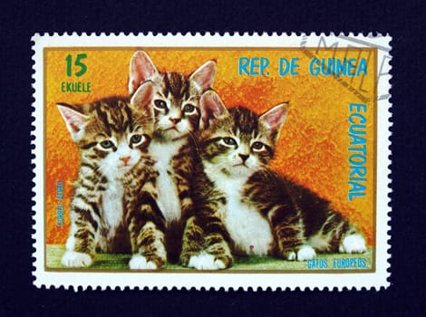 Republic of Guinea postage stamp with tabby cats