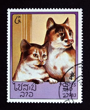 Lao postage stamp with cats