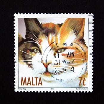 Stamp with cat from Malta
