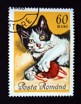 Stamp with cat from Romania