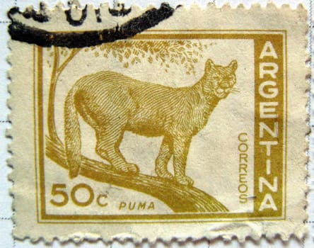 mail stamp from Argentina with Puma depicted on it
