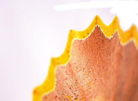 Part of shavings from a yellow pencil isolated on white background