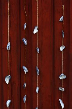 Decorative blue mussels attached to strings hanging on red wooden wall