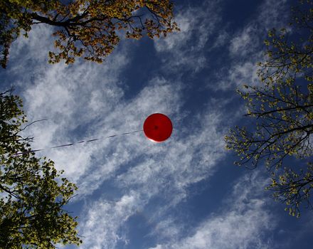 High hanging red balloon shot from beneath