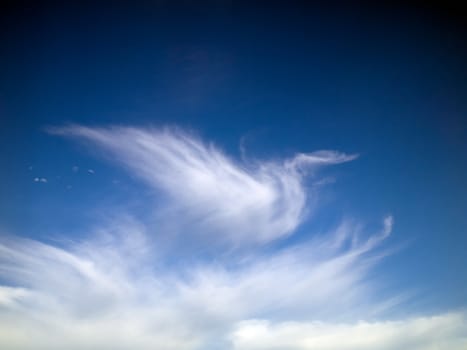 Blue Sky White Swan Clouds