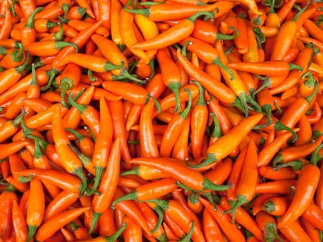 Many beautiful orange pepper sold in the market.