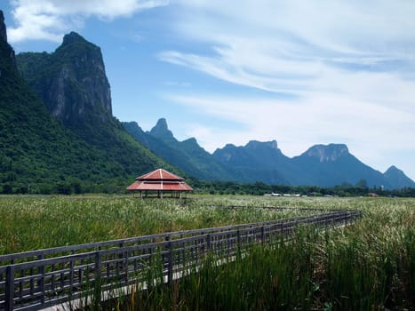 Lake Central wooden bridge. Filled with grass. Sam Roi Yod National Park.