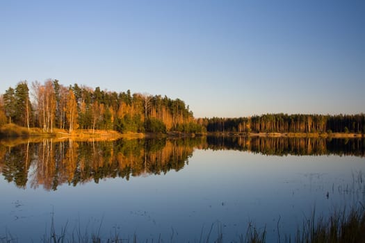 autumn lake forest