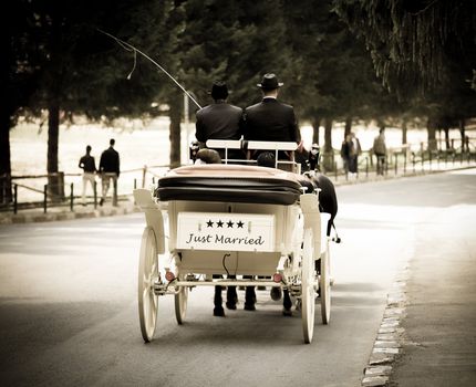 Wedding carriage