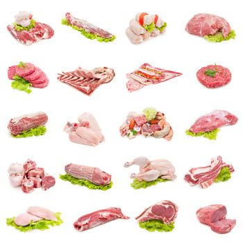 collection of fresh beef, veal, poultry and pork on white background