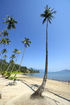 Paradise beach in Ilhabela, Sao Paulo, Brazil.