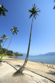 Paradise beach in Ilhabela, Sao Paulo, Brazil.