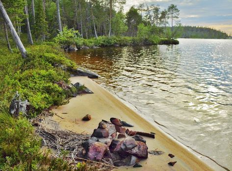 wild lake coast with sand and stones