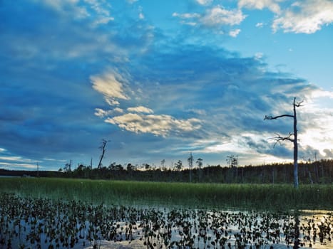 The evening sky with clouds illuminated by the sun on  wild lake