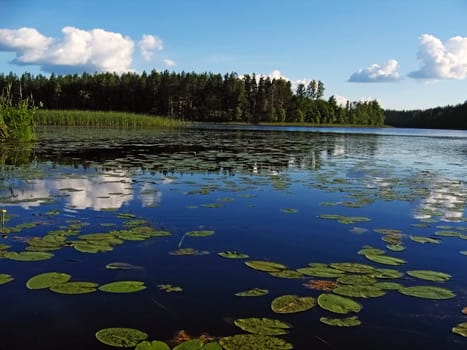 In silent water of lake are reflected the blue sky and clouds