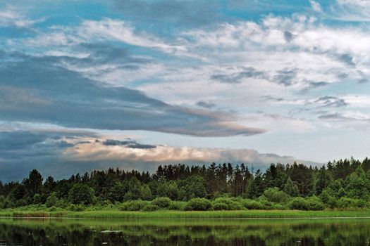 green forest on silence evening lake coast