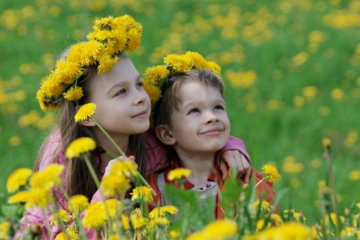 Brother and sister enjoy summer time in the dandelion meadow.