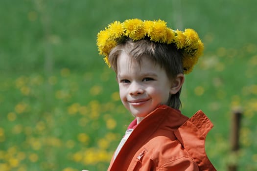 Young boy enjoy summer time in the dandelion meadow.