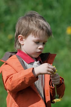 Young boy enjoy summer time in the dandelion meadow.