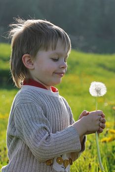 Young boy enjoy summer time in the dandelion meadow.