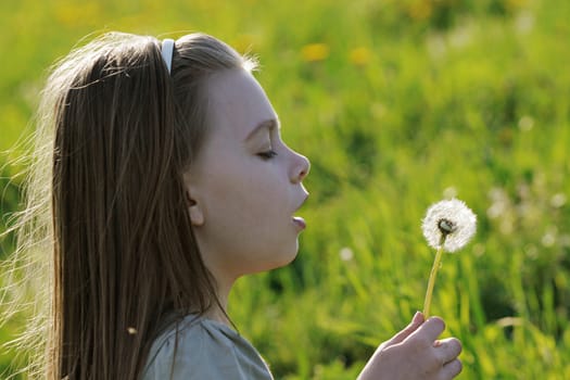 Nice, young girl enjoy summer time in the dandelion meadow.