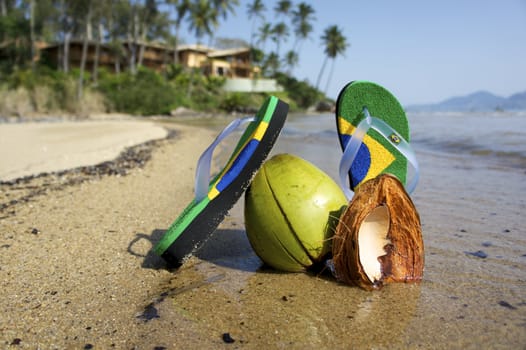 razilian Flipflop on the beach in Ilhabela, Sao Paulo state, Brazil, RAW shooting