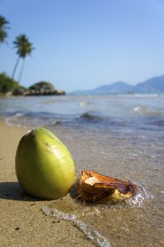 Fresh coconut on the beach in Ilhabela, Sao Paulo state, Brazil, RAW shooting.