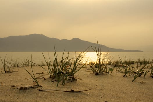 Paradise beach in Ilhabela, Sao Paulo, Brazil.