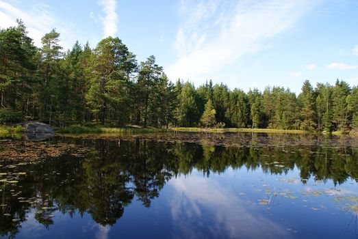 A calm forest lake in Salo, Finland, mirroring the sky and forest.