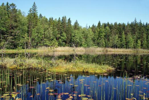 Calm Lake Kolmperä in Suomusjärvi, Southwest of Finland