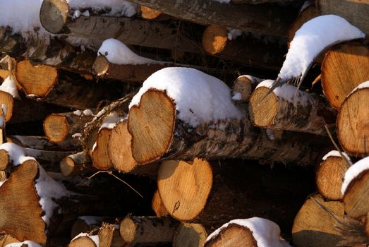 A detail of piled up wood logs under snow in winter. 