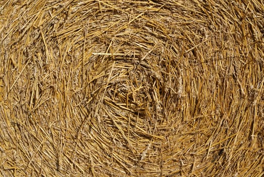 Close up shot of a straw bale showing the texture. 