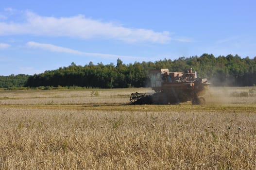 Combine in the field on cleaning of a ripe rye
