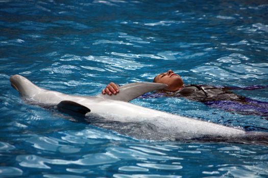 View of a dolphin and the trainer swimming on a pool.