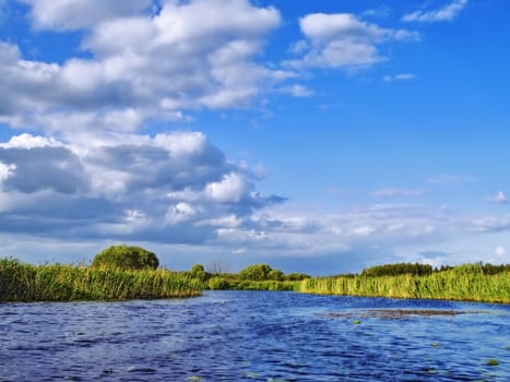 marsh river under blue sky with clouds