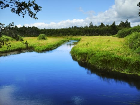 blue forest river