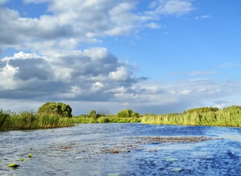 marsh river under cloudy sky with green grass coasts