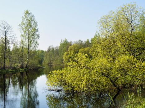 The spring river with  new leaves on trees