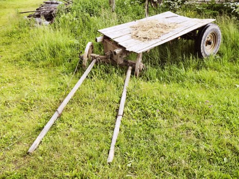 Rural cart in green grass after haymaking