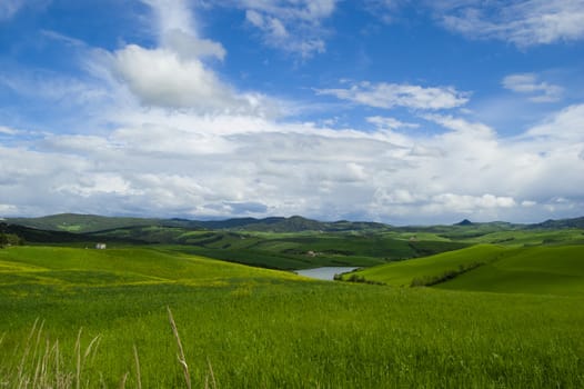 Green Grass Field Landscape with fantastic clouds in the background